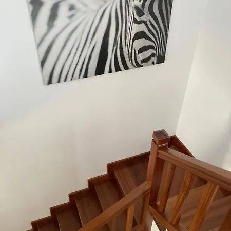 Casa Atlantico 펜션 플라야블랑카